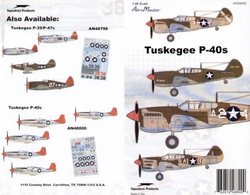 1/48 Tuskegee P-40s - 1/48 Aircraft Mask & Decals