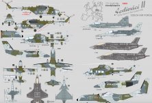 1/72 Grey Lions in the Czech Sky. Czech Air Force 1/72 Grey Lions in the Czech Sky. Czech Air Force