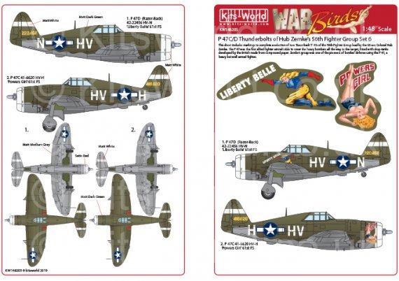 1/48 Republic P-47 Thunderbolts razorbacks - 1/48 Aircraft Mask & Decals