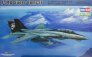 1/48 Grumman F-14D Tomcat