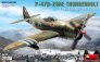 1/48 P-47D-28RE Thunderbolt French AF BASIC KIT