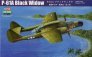 1/48 Northrop P-61A Black Widow