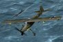 1/35 Fiesleler Fi-156U Storch