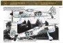 1/32 Mask&Decal Fw-190 F-8 The Balack 2