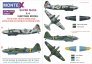 1/48 Ilyushin DB-3F / IL-4 / IL-4T masks & decals