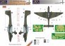 1/35 Mask Ju-87D/G Stuka Camouflage painting