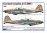 1/144 Decals Czechoslovak pilots in Il-2M3s, Part