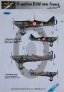 1/48 Decals Dewoitine D.510 over France (FOND.MIN)