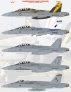 1/48 Leatherneck Legacy Hornets sized for Hasegawa