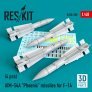 1/48 AIM-54A Phoenix missiles for F-14