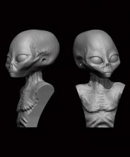 Grey ALIEN-BUST 5cm/50mm Grey ALIEN-BUST 5cm/50mm