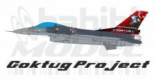 1/72 F-16C Fighting Falcon 401 Sq Goktu Project Decal Set 1/72 F-16C Fighting Falcon 401 Sq Goktu Project Decal Set