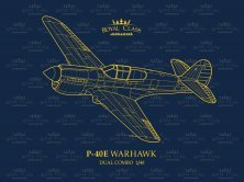 1/48 P-40E Warhawk DUAL COMBO (ROYAL CLASS) 1/48 P-40E Warhawk DUAL COMBO (ROYAL CLASS)