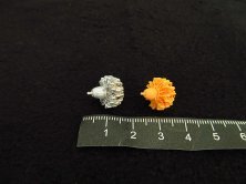 1/72 Gnome-Rhone 14K 1/72 Gnome-Rhone 14K