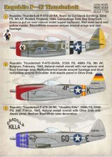 1/144 Republic P-47D Thunderbolt.1. Republic Thunderbolt P-47D-2 1/144 Republic P-47D Thunderbolt.1. Republic Thunderbolt P-47D-2